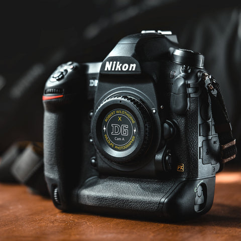 Indicateurs personnalisables pour caméras Nikon Z et F